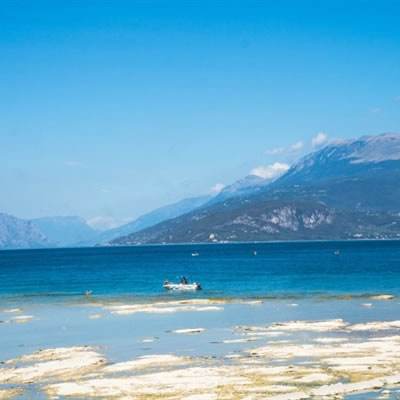 开元体育·登录入口