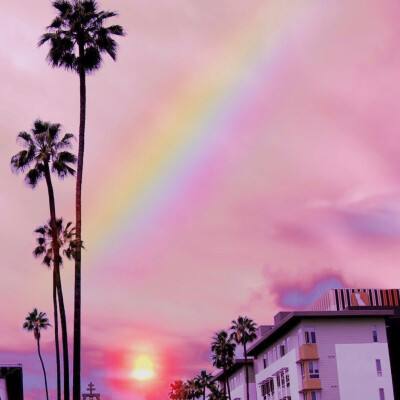 天博tb·体育综合